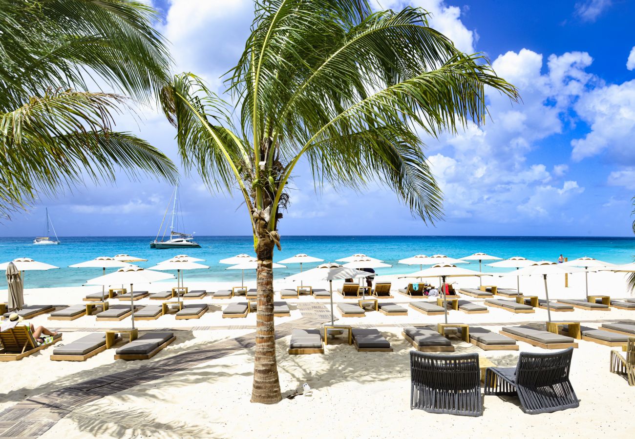 Gorgeous beach and restaurant